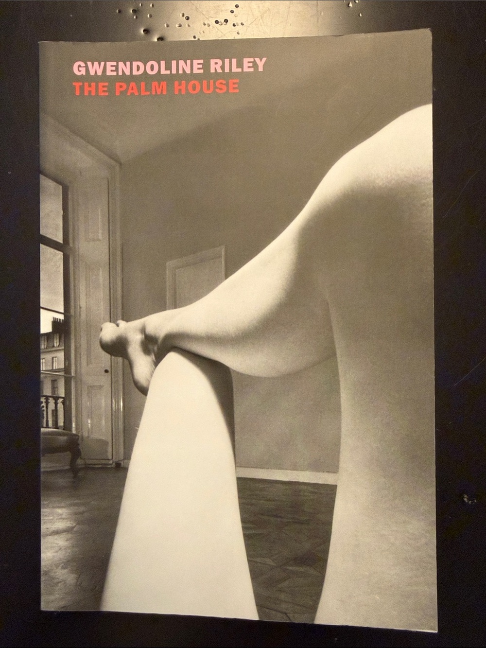 Gwendoline Riley’s The Palm House